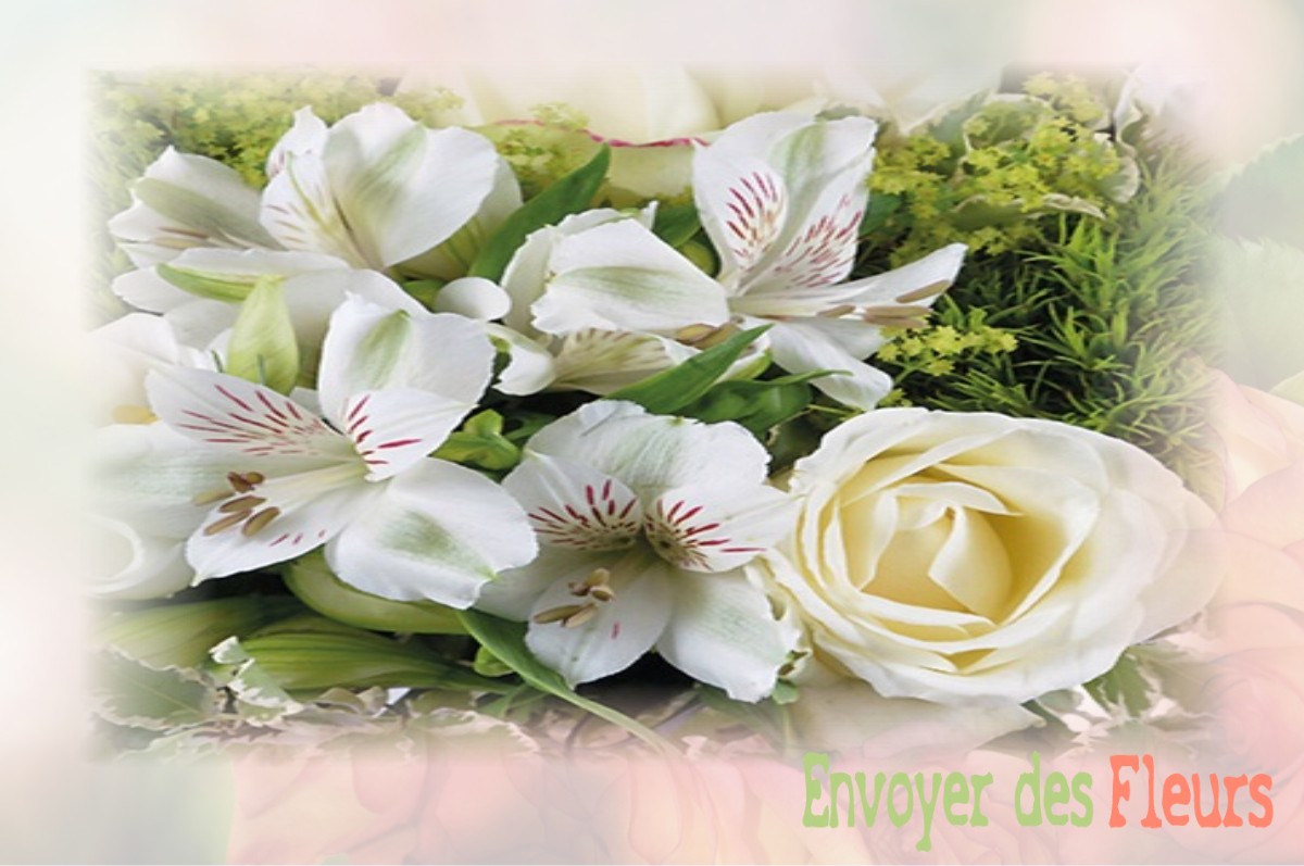 envoyer des fleurs à à VILLERS-AGRON-AIGUIZY